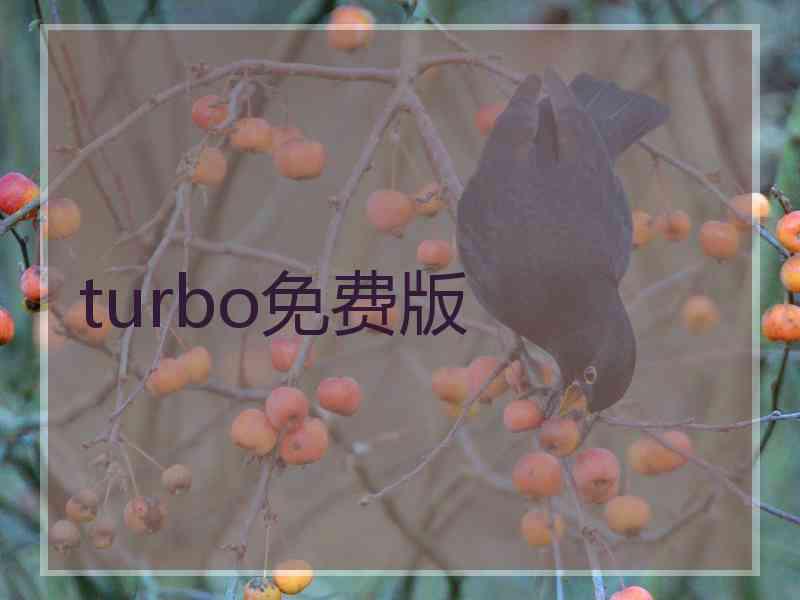 turbo免费版