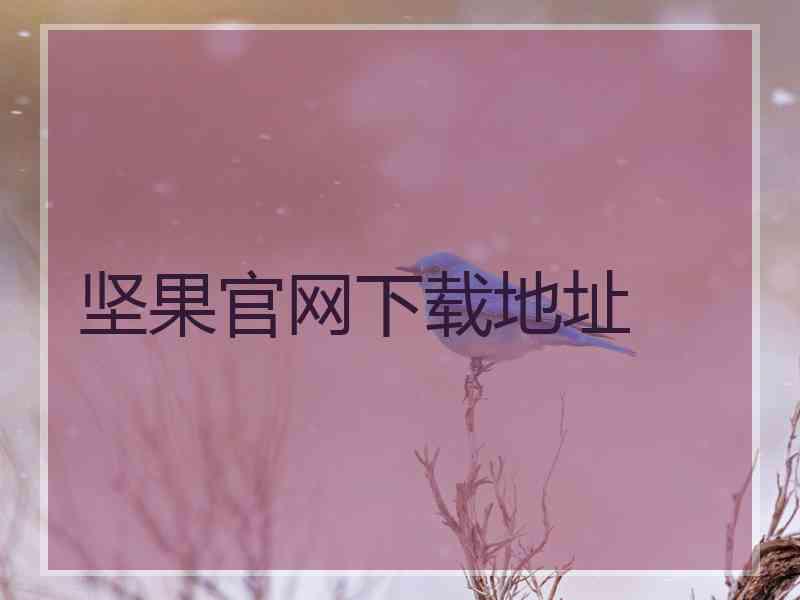 坚果官网下载地址