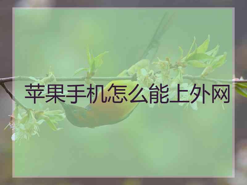 苹果手机怎么能上外网