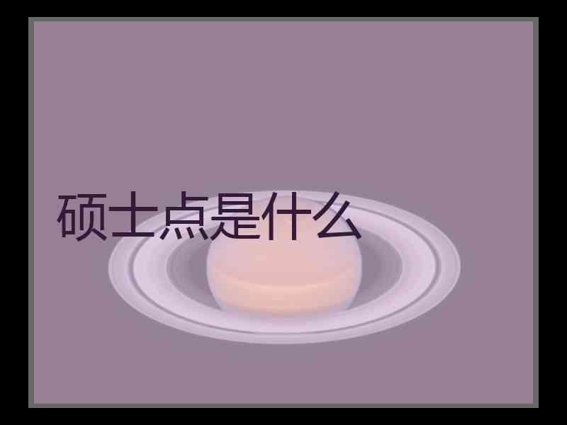 硕士点是什么