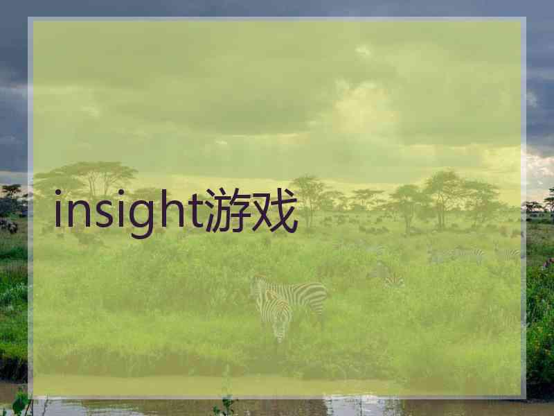 insight游戏