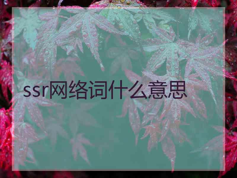 ssr网络词什么意思