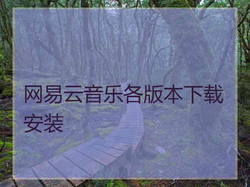 网易云音乐各版本下载安装