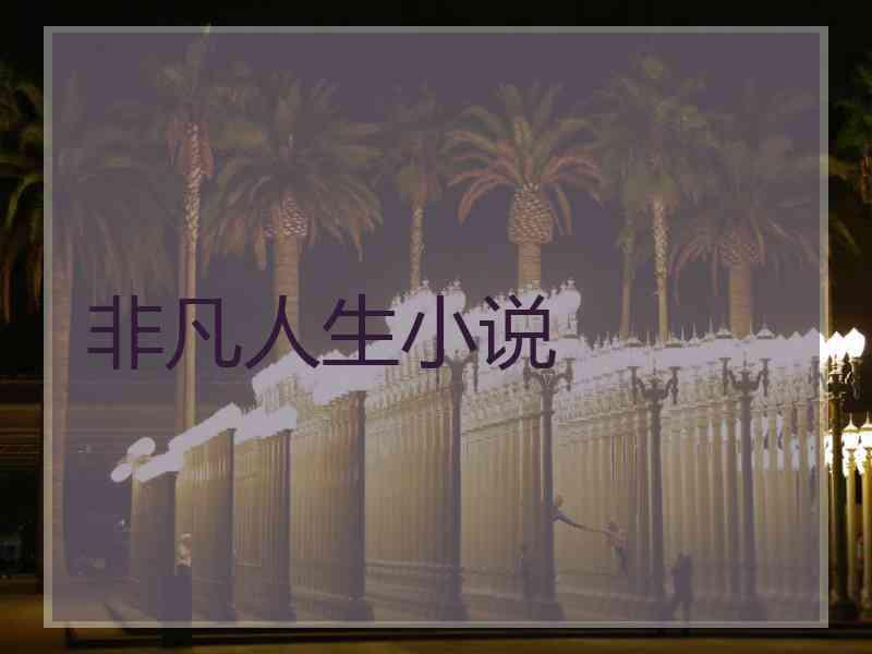 非凡人生小说