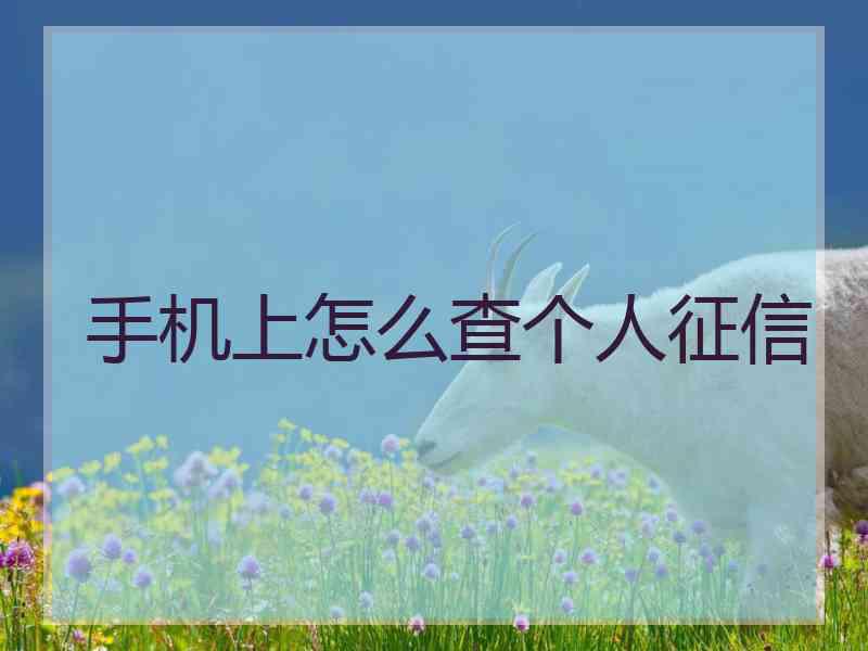 手机上怎么查个人征信
