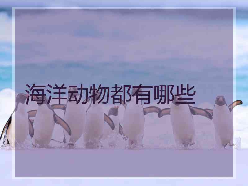 海洋动物都有哪些