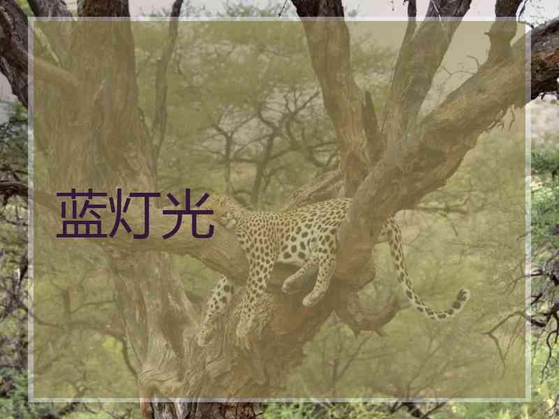 蓝灯光
