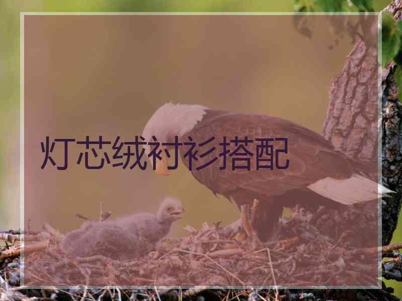 灯芯绒衬衫搭配