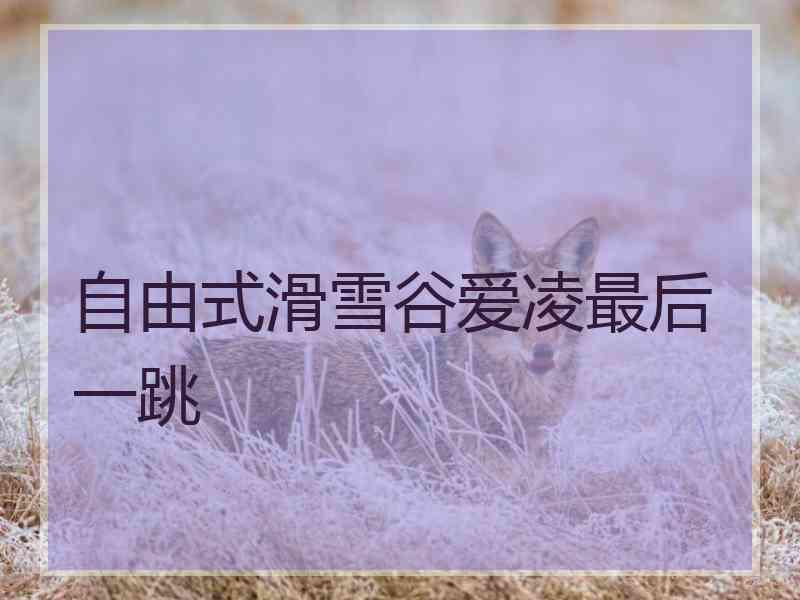 自由式滑雪谷爱凌最后一跳
