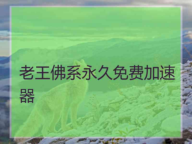 老王佛系永久免费加速器