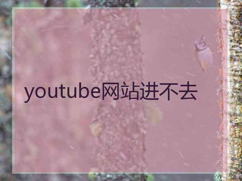 youtube网站进不去