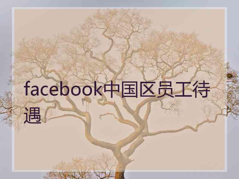 facebook中国区员工待遇