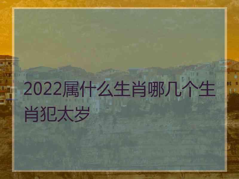 2022属什么生肖哪几个生肖犯太岁