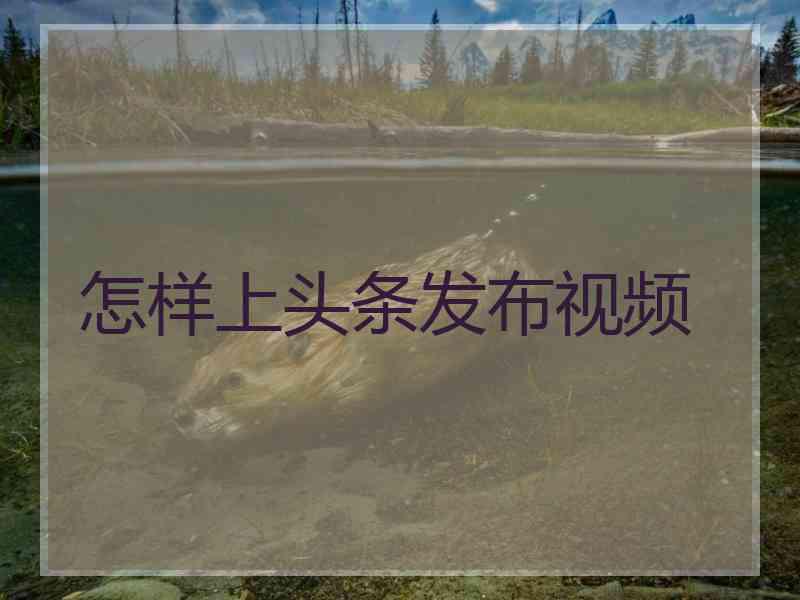 怎样上头条发布视频