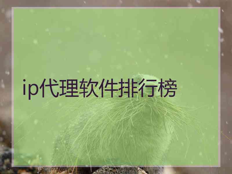 ip代理软件排行榜