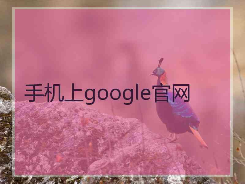 手机上google官网