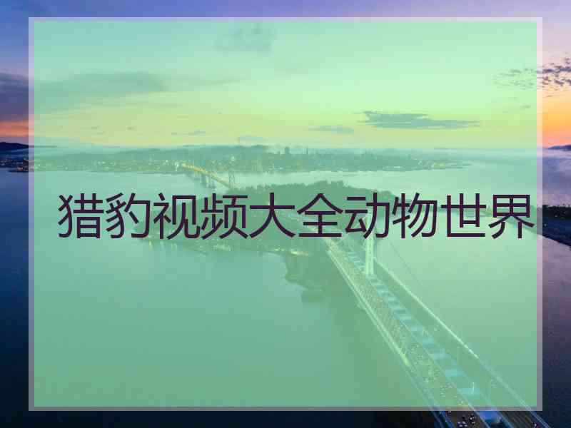 猎豹视频大全动物世界