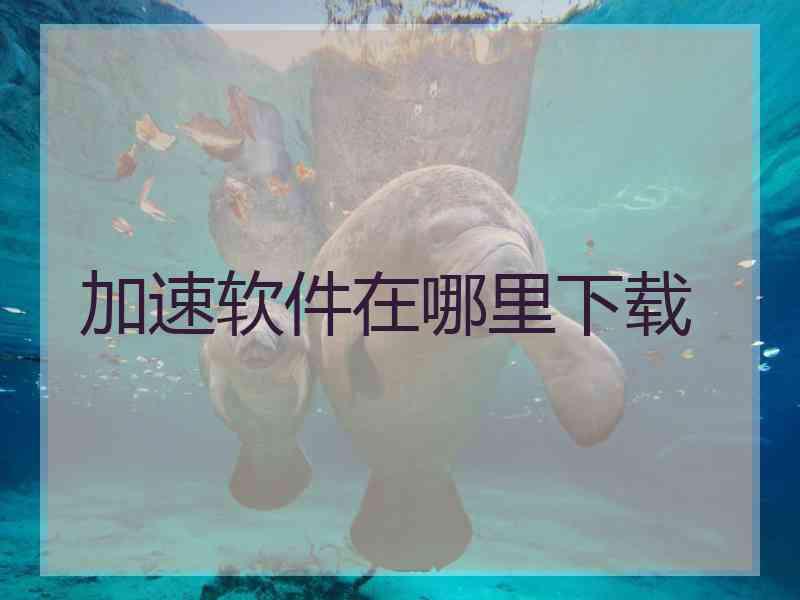 加速软件在哪里下载