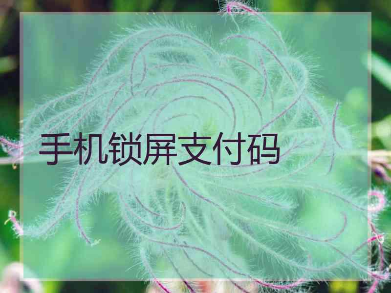 手机锁屏支付码