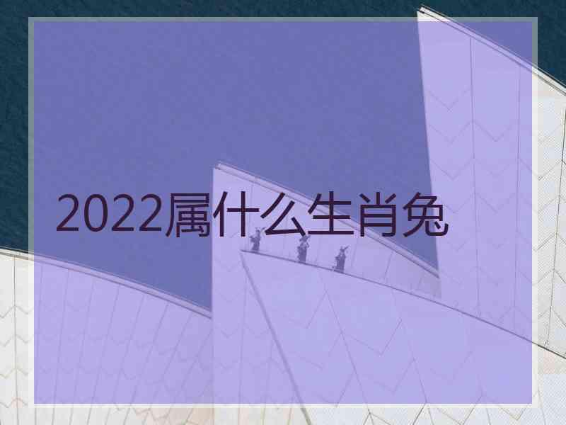 2022属什么生肖兔