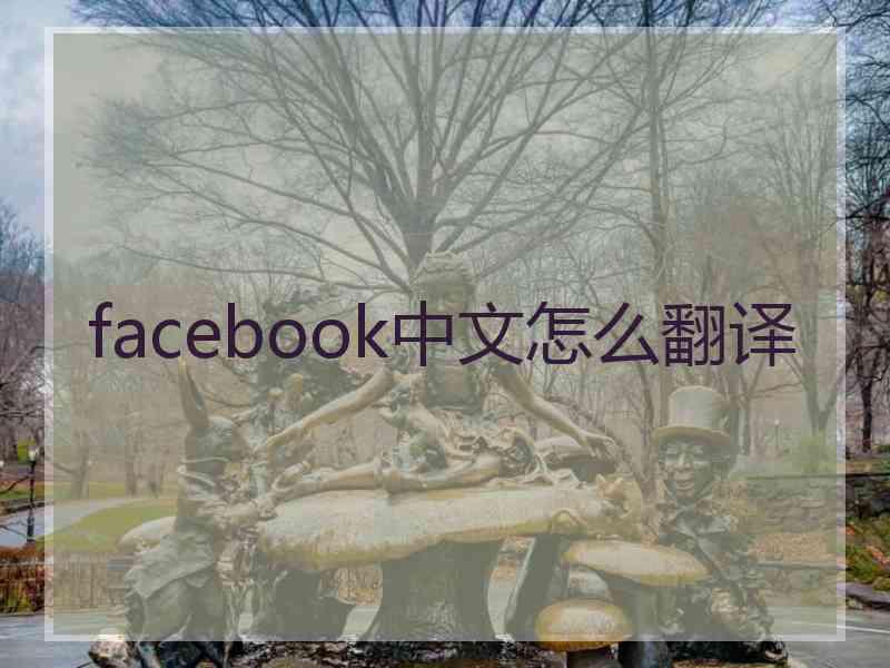 facebook中文怎么翻译