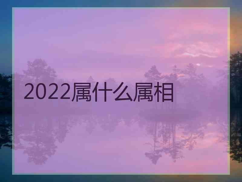 2022属什么属相