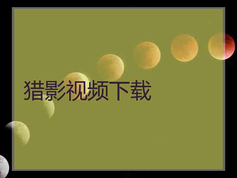 猎影视频下载