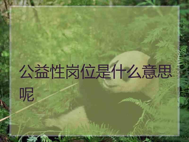 公益性岗位是什么意思呢