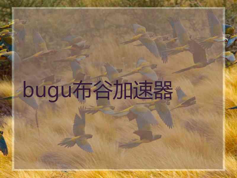 bugu布谷加速器