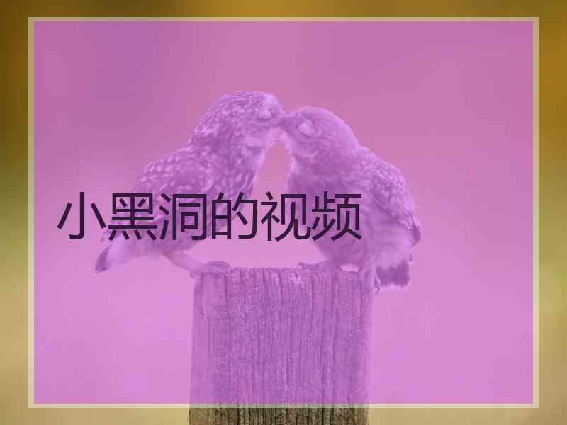 小黑洞的视频