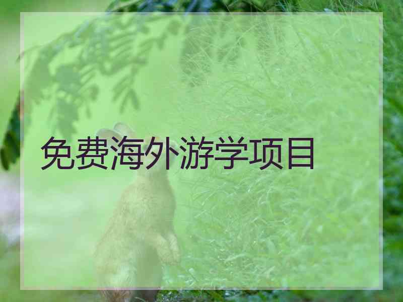 免费海外游学项目