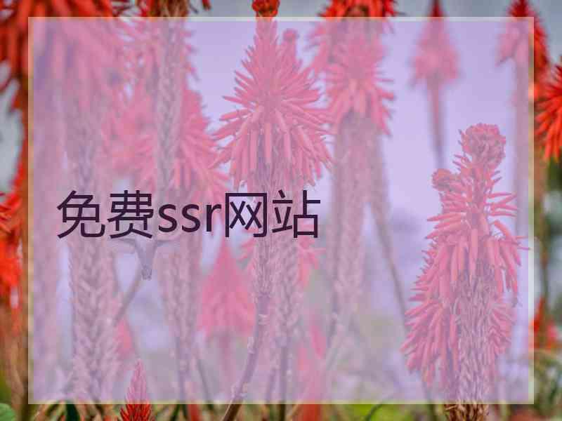 免费ssr网站