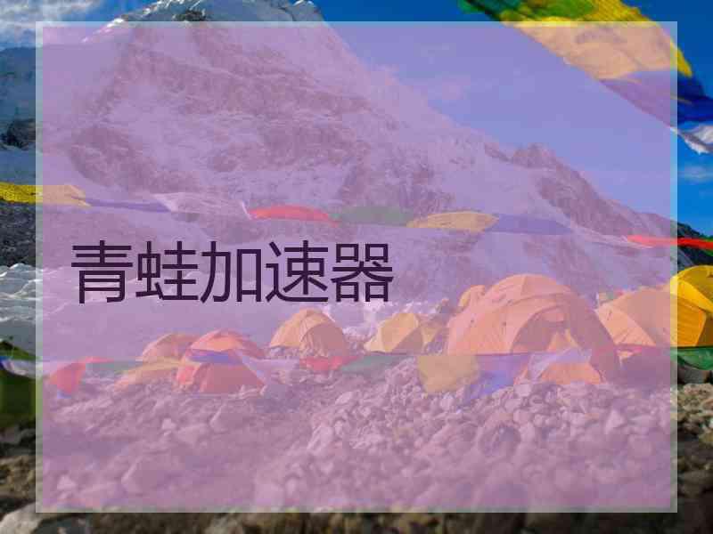 青蛙加速器