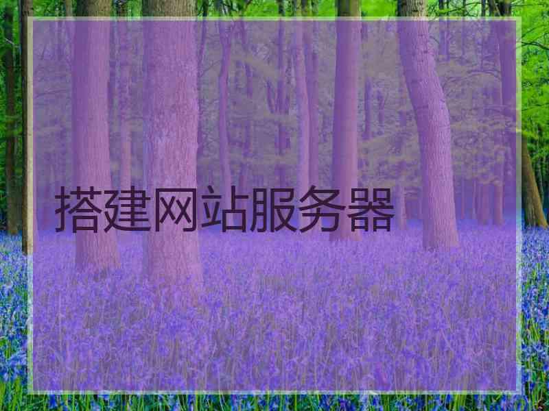 搭建网站服务器