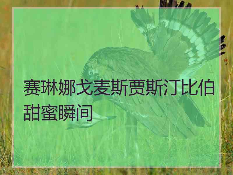 赛琳娜戈麦斯贾斯汀比伯甜蜜瞬间