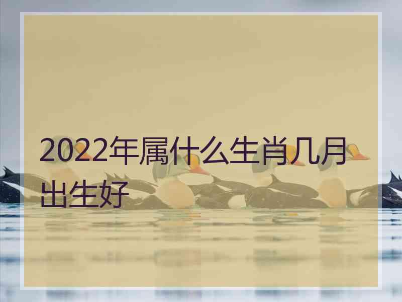 2022年属什么生肖几月出生好
