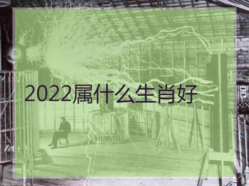 2022属什么生肖好