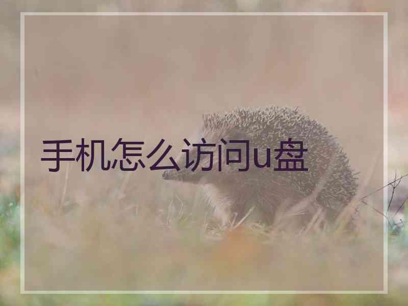 手机怎么访问u盘