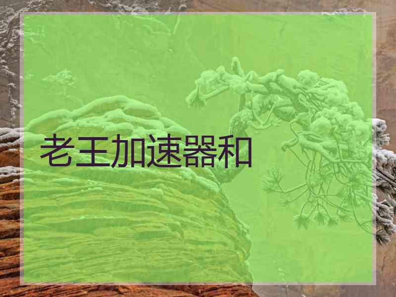 老王加速器和