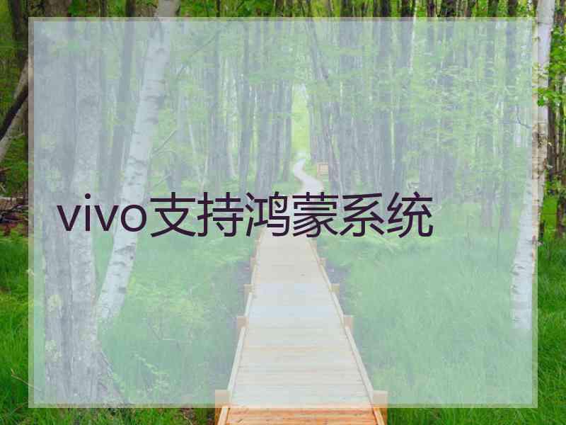 vivo支持鸿蒙系统