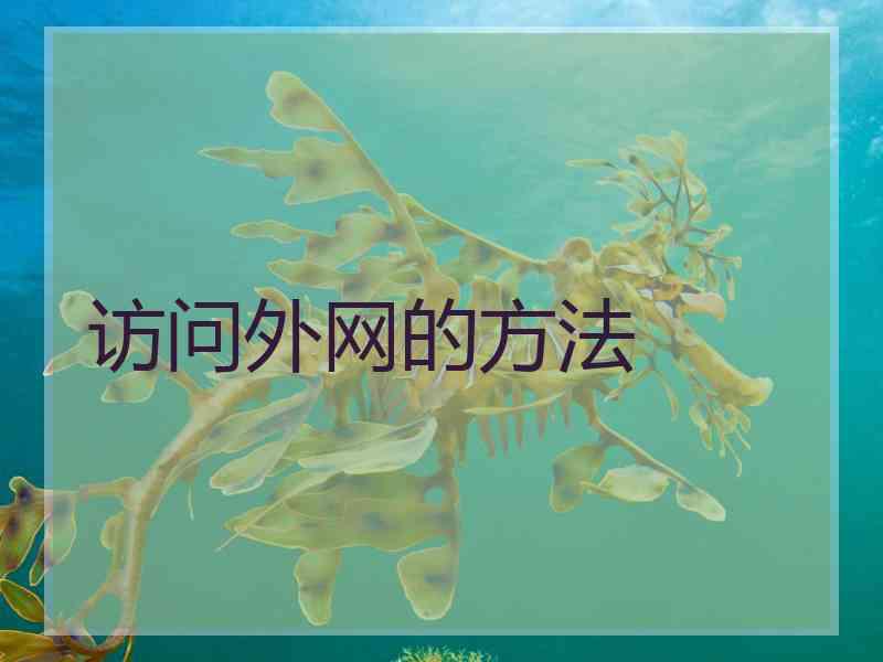 访问外网的方法
