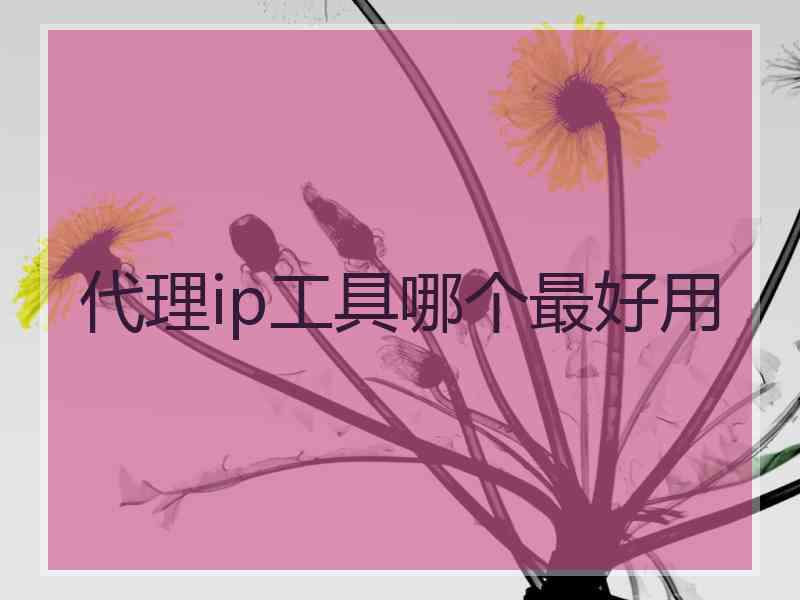 代理ip工具哪个最好用