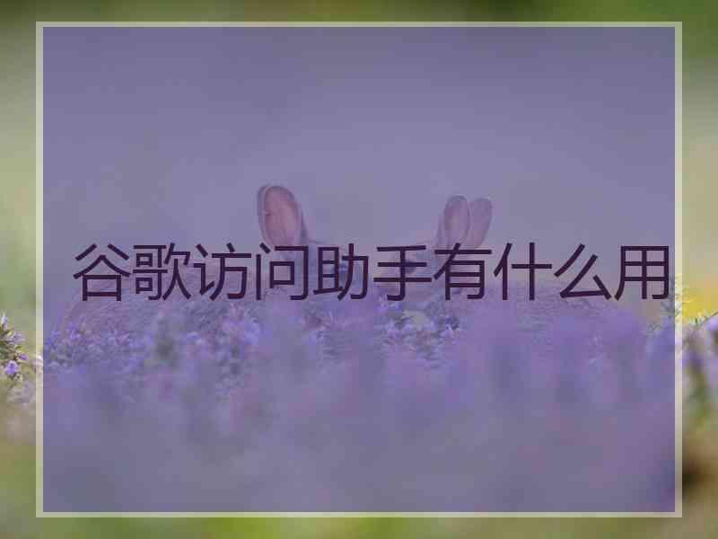 谷歌访问助手有什么用