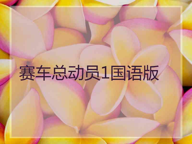 赛车总动员1国语版