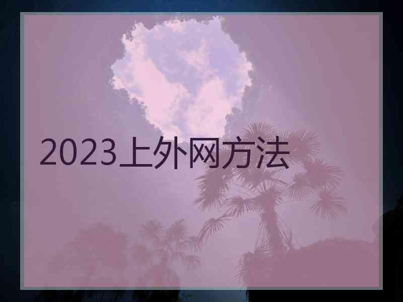 2023上外网方法