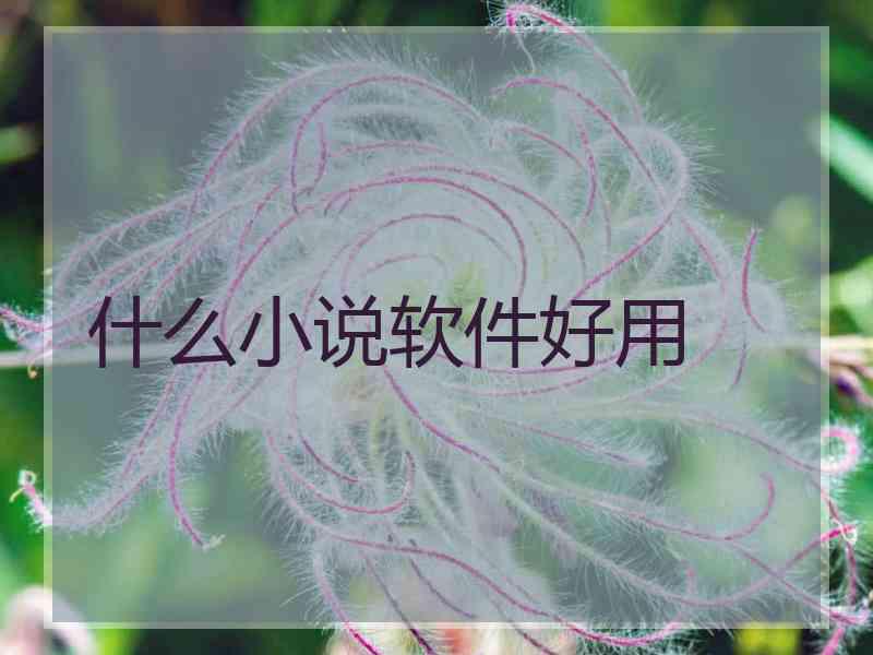 什么小说软件好用