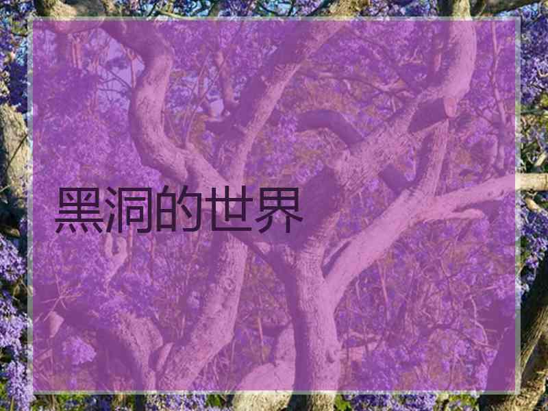 黑洞的世界