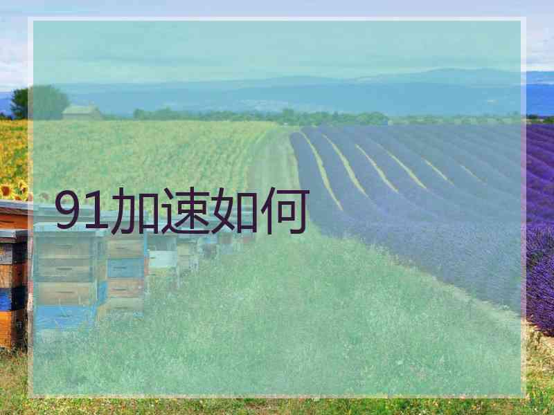 91加速如何