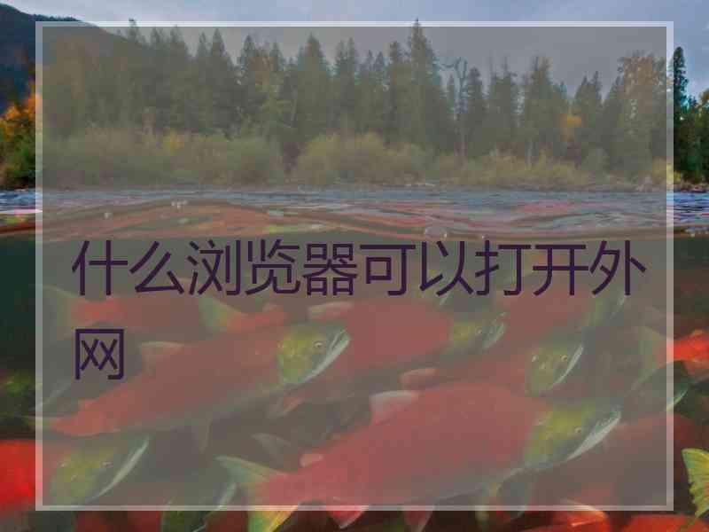 什么浏览器可以打开外网