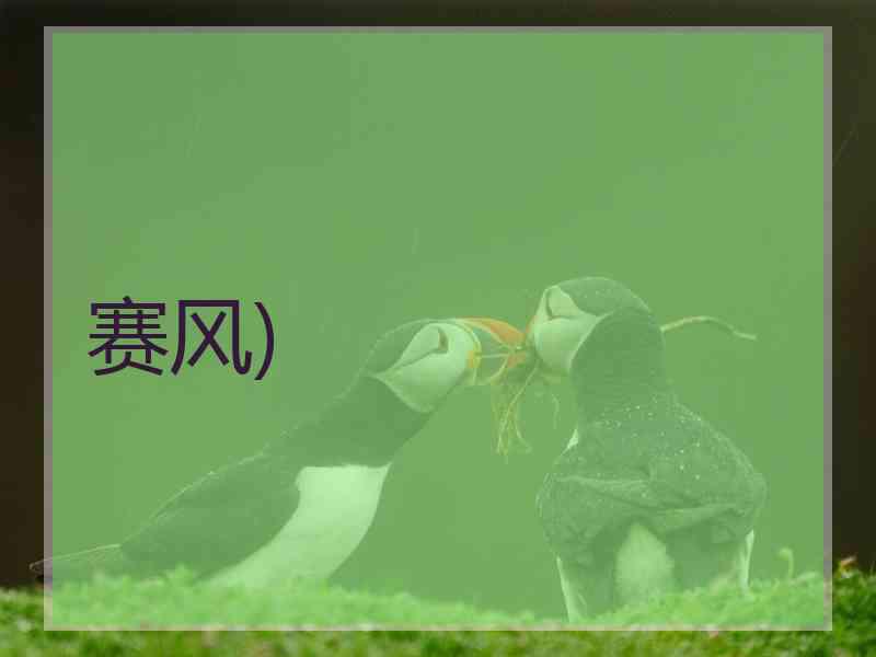赛风)